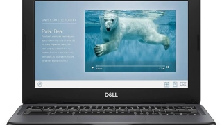 Dell Chromebook 11 3100 11.6″ Touchscreen 2 in 1 Chromebook – HD – 1366 x 768 – Intel Celeron N4020 Dual-Core (2 Core) – 4 GB RAM – 32 GB Flash Memory (Renewed)